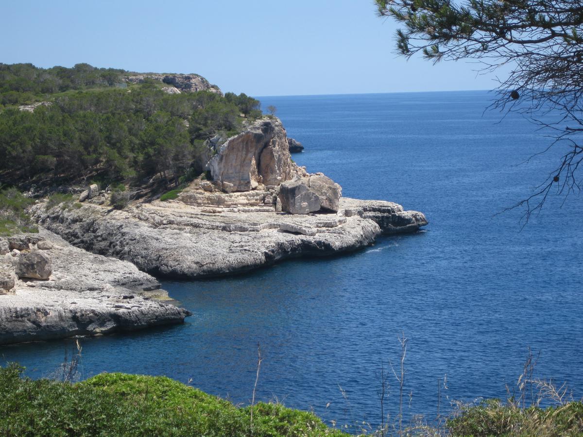 Apartament Torre Nova *